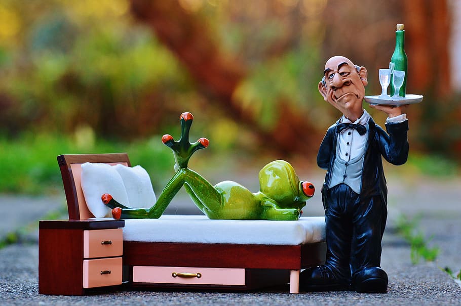 frog, bed, operation, butler, relaxation, rest, funny, cute HD wallpaper