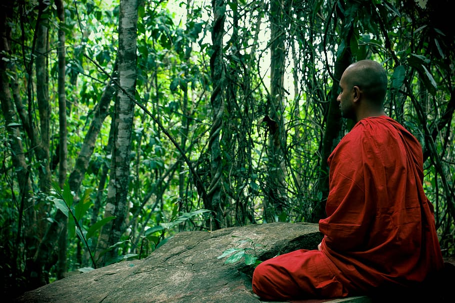 man in red suit meditating surrounded with trees, meditation