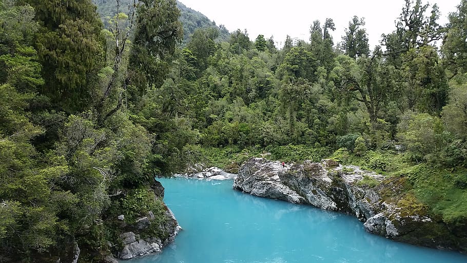 glacial, turquoise, water, trees, river, nature, scenic, new zealand HD wallpaper