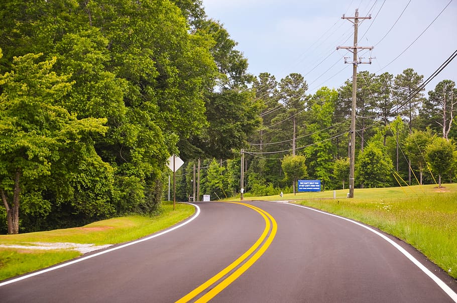green, rush, grass, usa, america, trees, road, nature, street HD wallpaper