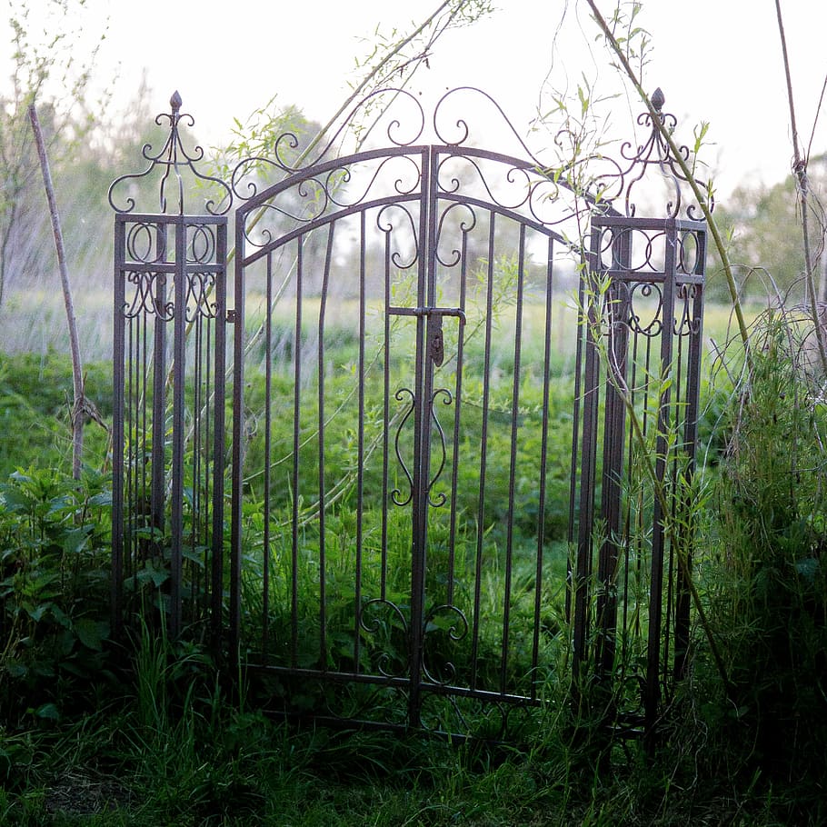 gray metal gate, goal, old, ornament, iron railings, blocked