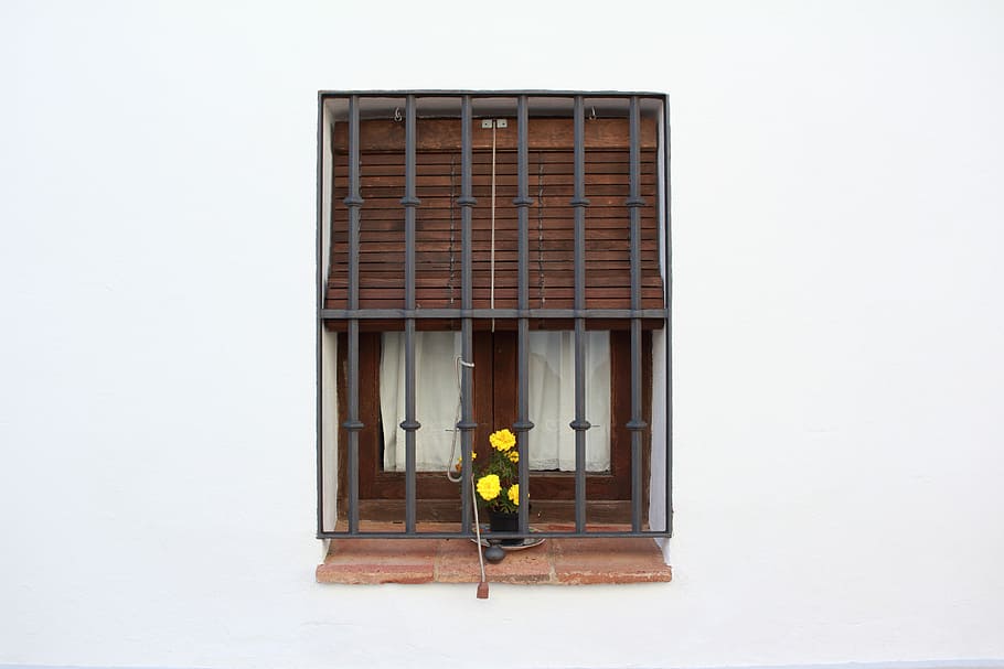 yellow sunflowers displayed on window, bars, shutter, blind HD wallpaper