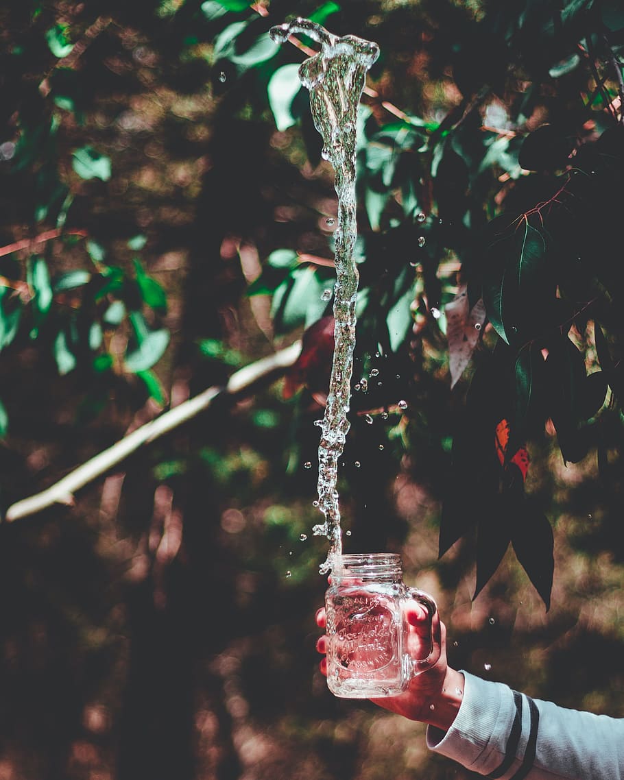 glass, jar, container, water, drink, bokeh, blur, plants, nature HD wallpaper