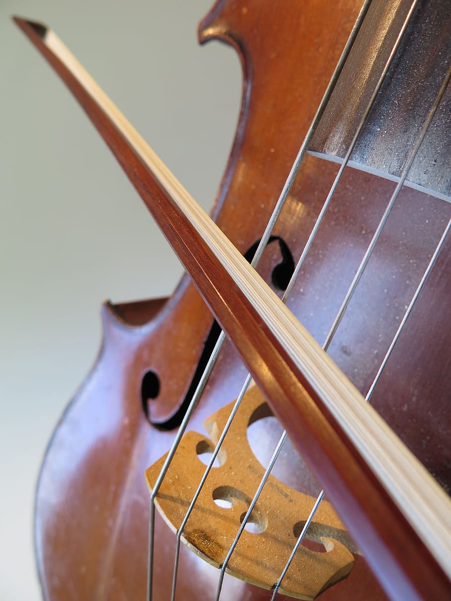 Cello, Delete, Music, Web, Strings, arch, musical instrument HD wallpaper