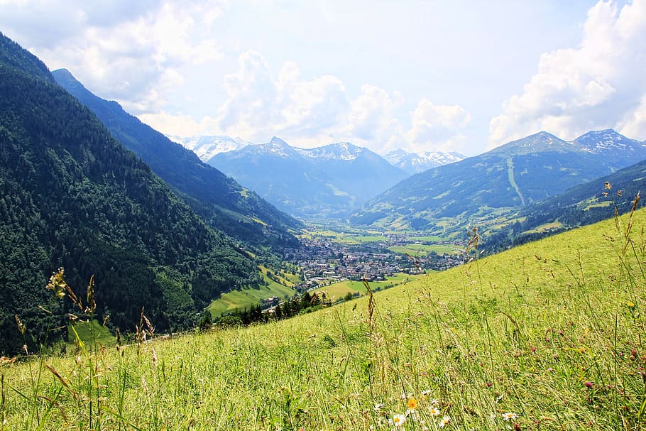 gastein valley, mountains, alm, meadow, alpine meadow, flowers, HD wallpaper