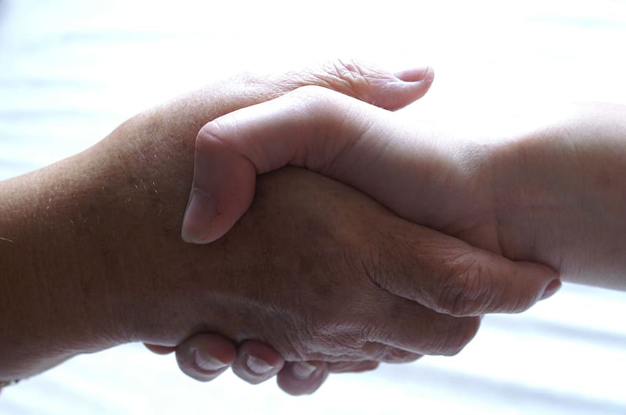 person's shaking hands, friendship, help, support, human hand HD wallpaper