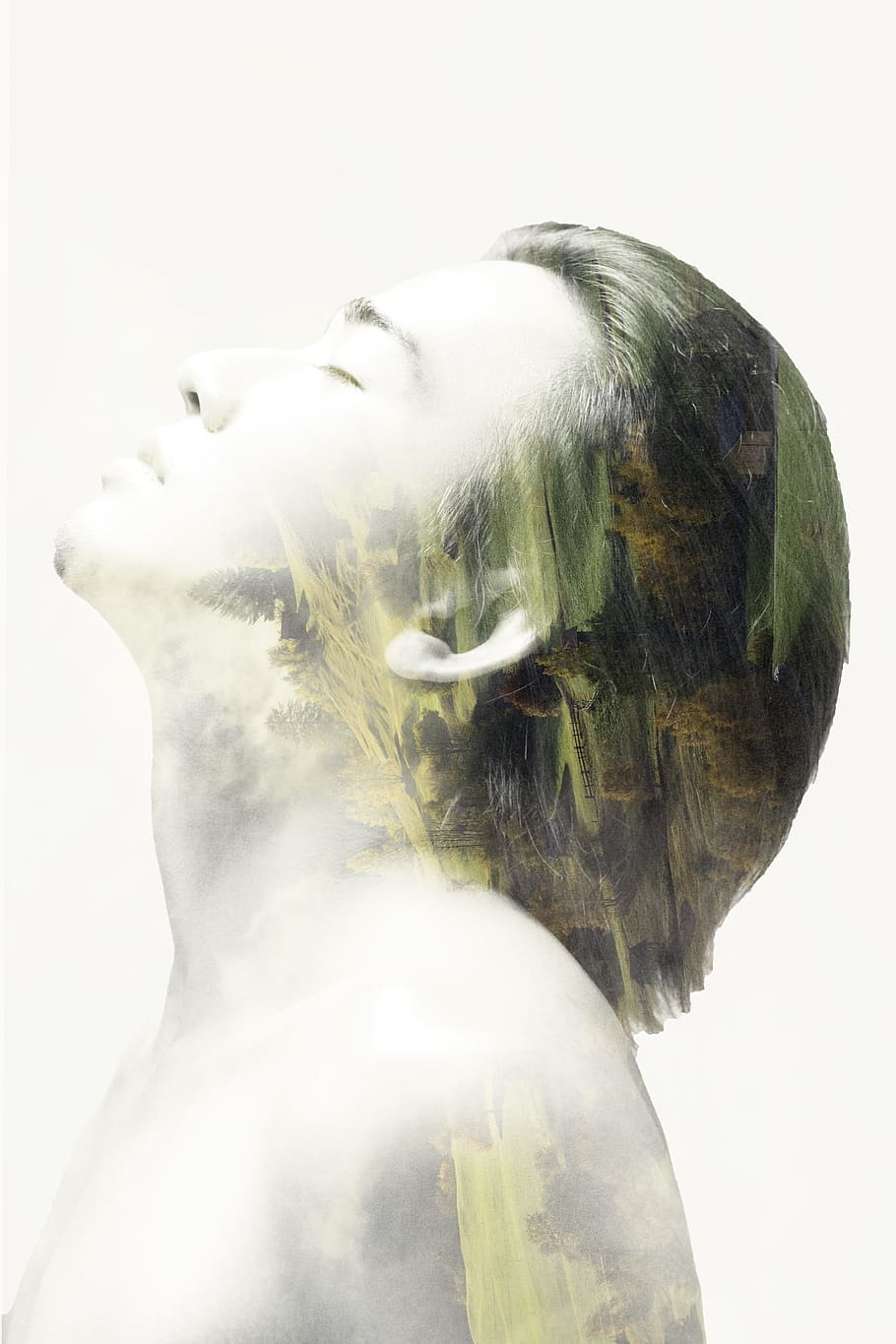 Double Exposure, Photographing, Contact, human, tree, photoshop HD wallpaper