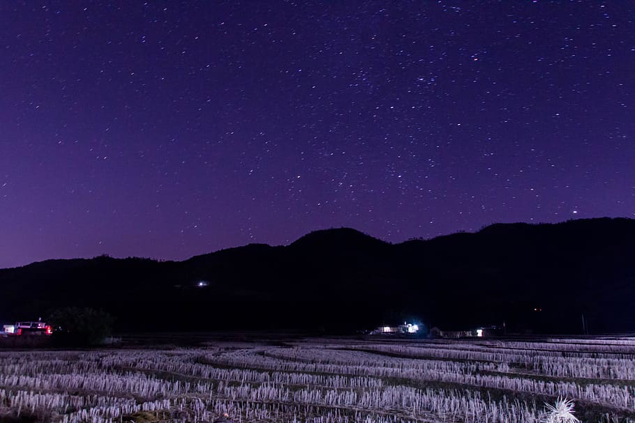 country, night view, fields, sky, scenics - nature, star - space HD wallpaper