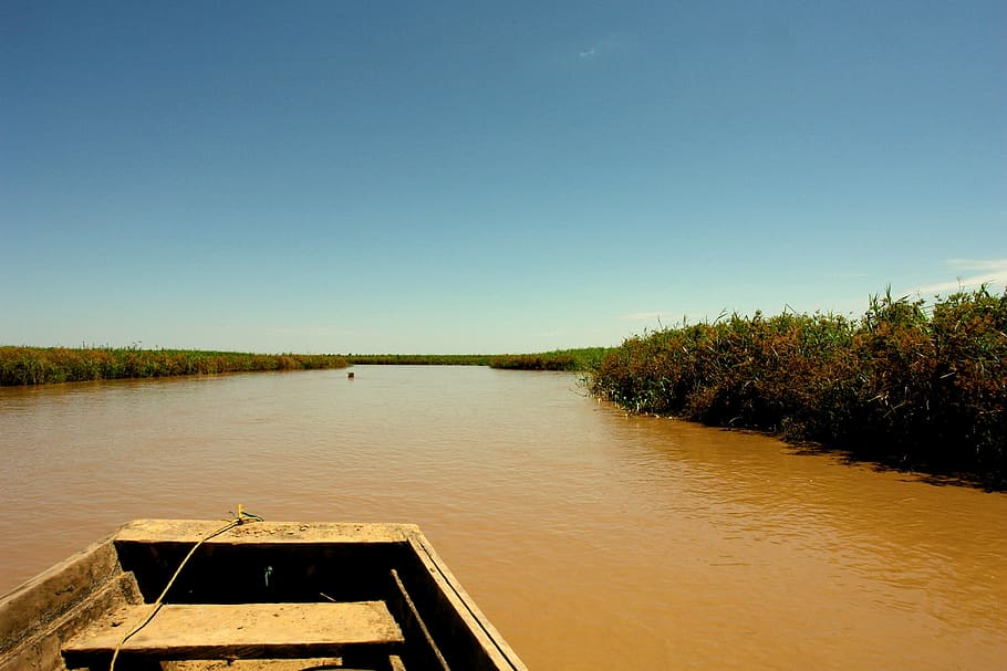 river, amazon, bolivia, crossing, holiday, nature, calm, water HD wallpaper