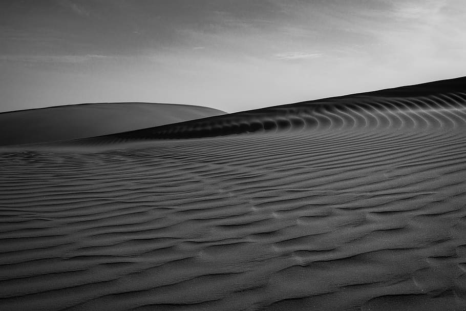 gray desert at daytime, wafe, blackandwhite, dune, sand, land HD wallpaper