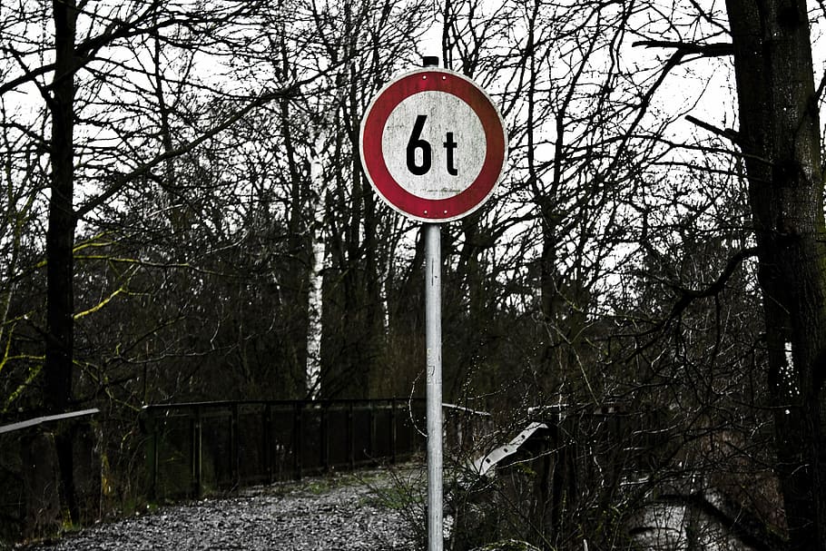 shield, away, red, black and white, marking, bridge, tree, plant HD wallpaper