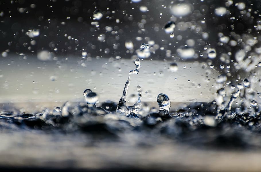time lapse photography of water dew, water drop, macro, wet HD wallpaper