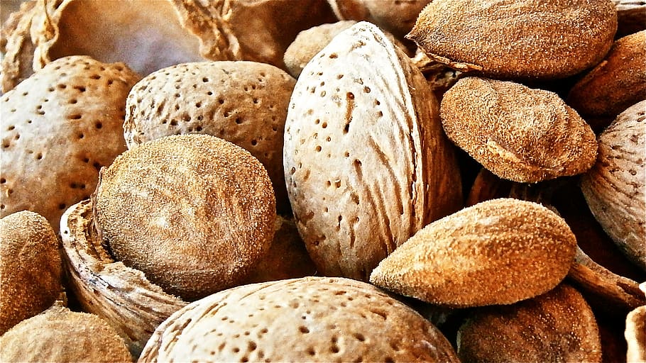 fruit, dry, almond, tree, nature, vegetable, full frame, food and drink HD wallpaper