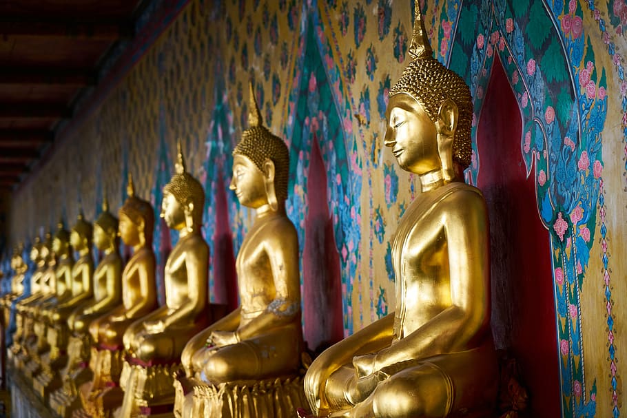 gold Buddha statue lot, bangkok, thailand, thai culture, temple, HD wallpaper