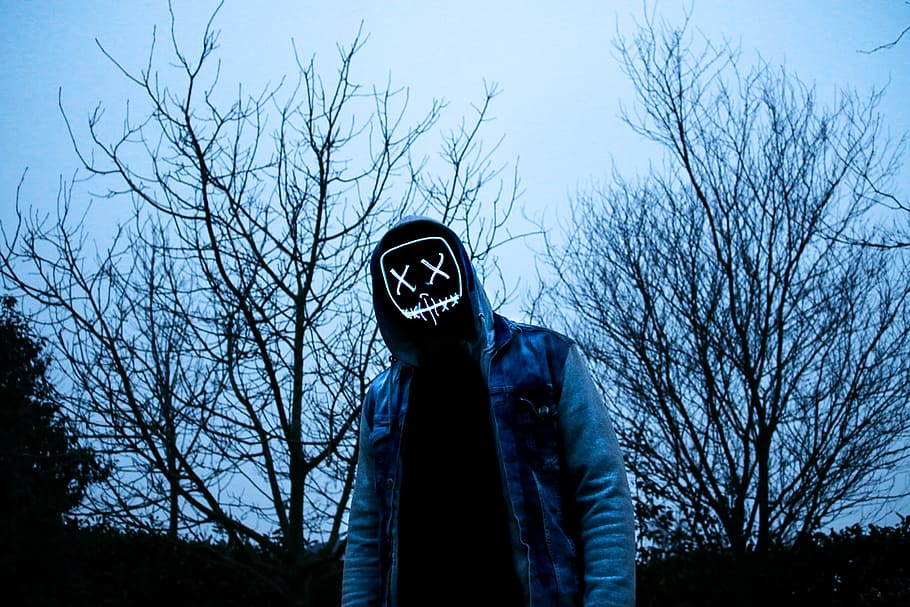 person wearing blue hooded jacket near bare trees, denim, forest HD wallpaper