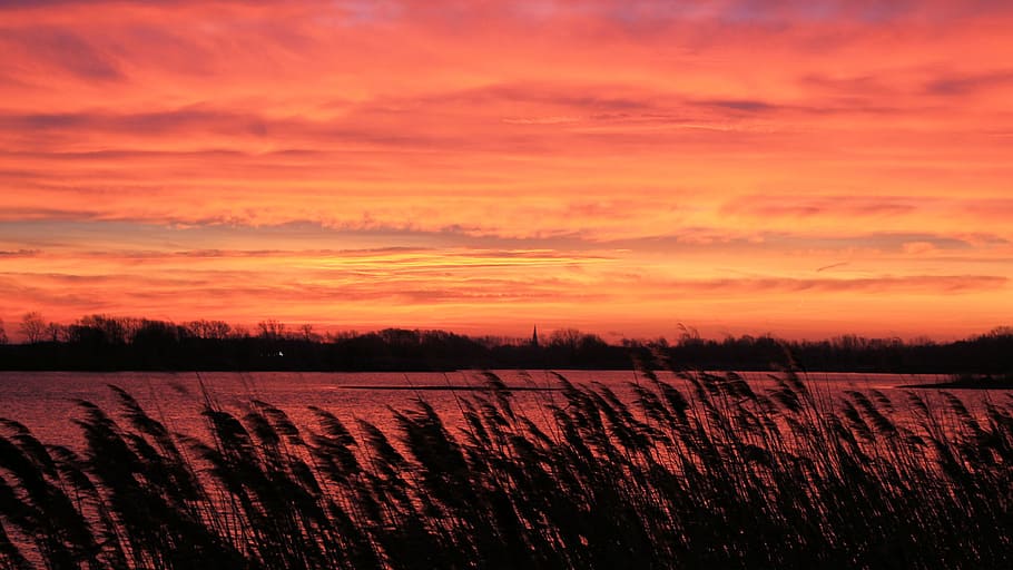 Sunset, Trees, Lake, Waters, silhuette, evening sky, twilight HD wallpaper