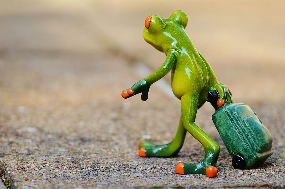 photo of tree frog holding luggage ceramic figurine, farewell