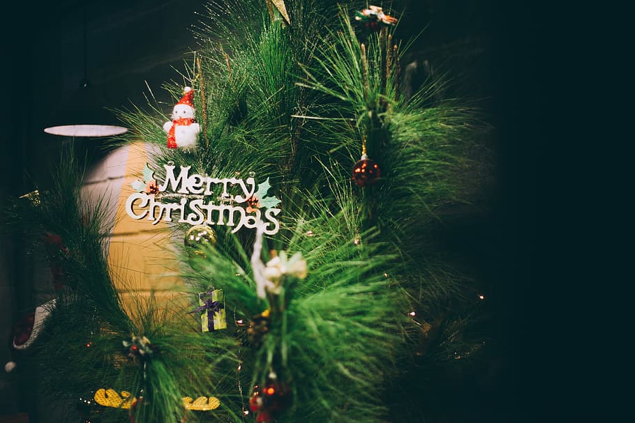 closeup photo of green christmas tree, decor, decoration, celebration HD wallpaper