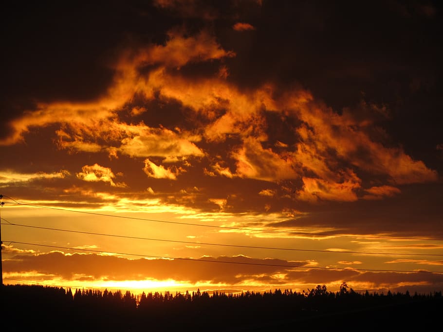 nature, sunset, sunset sky, evening, summer, dusk, sunlight HD wallpaper