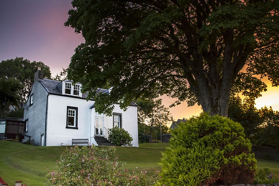 white concrete house beside green tree, white house near tree HD wallpaper