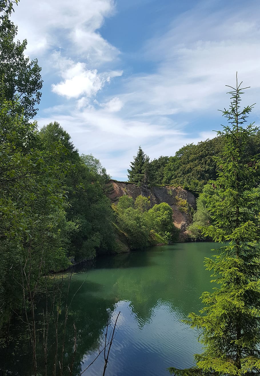 nature, tree, landscape, waters, wood, lake, summer, sky, reflection HD wallpaper