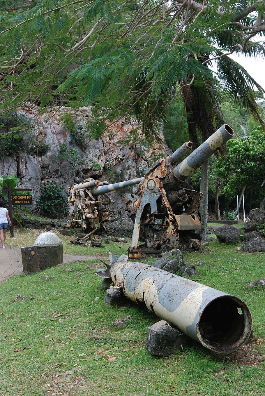 Cannon, Artillery, Rusted, Old, Military, weapon, historical HD wallpaper