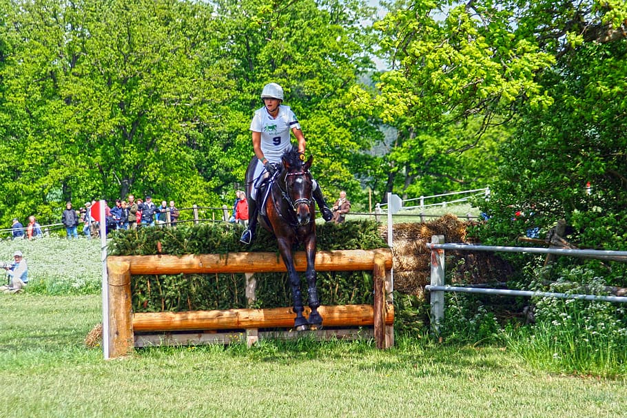 versatility, ride, versatility examination, eventing, military-horse riding HD wallpaper