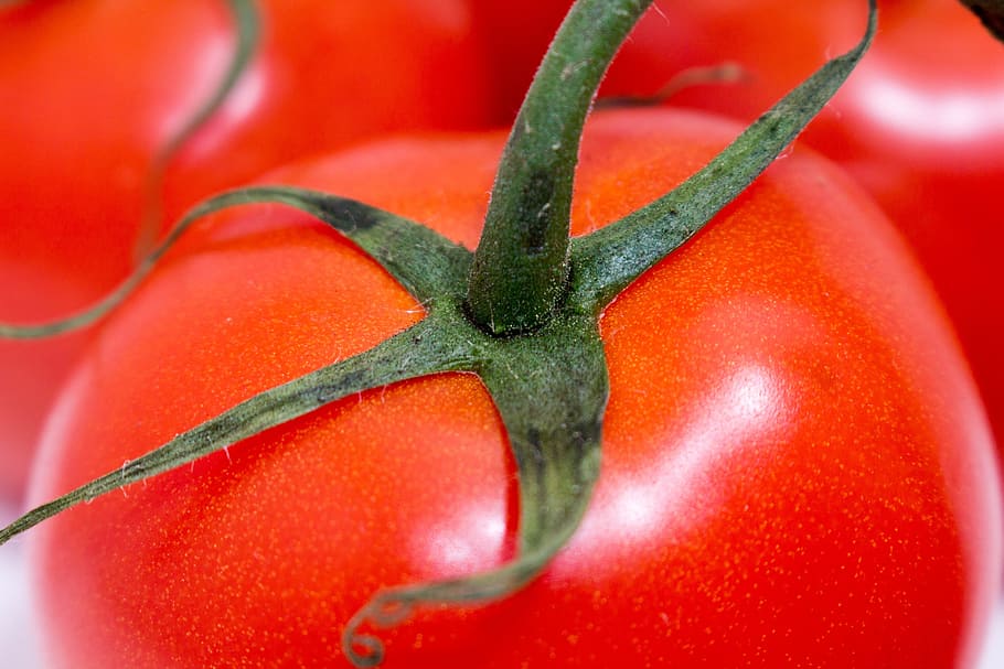 food, grow, fruit, vegetable, healthy, red, food and drink HD wallpaper