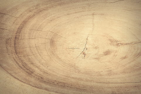 beige wood slice, abstract, antique, backdrop, background, board HD wallpaper