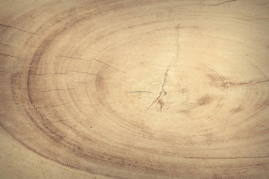 beige wood slice, abstract, antique, backdrop, background, board HD wallpaper