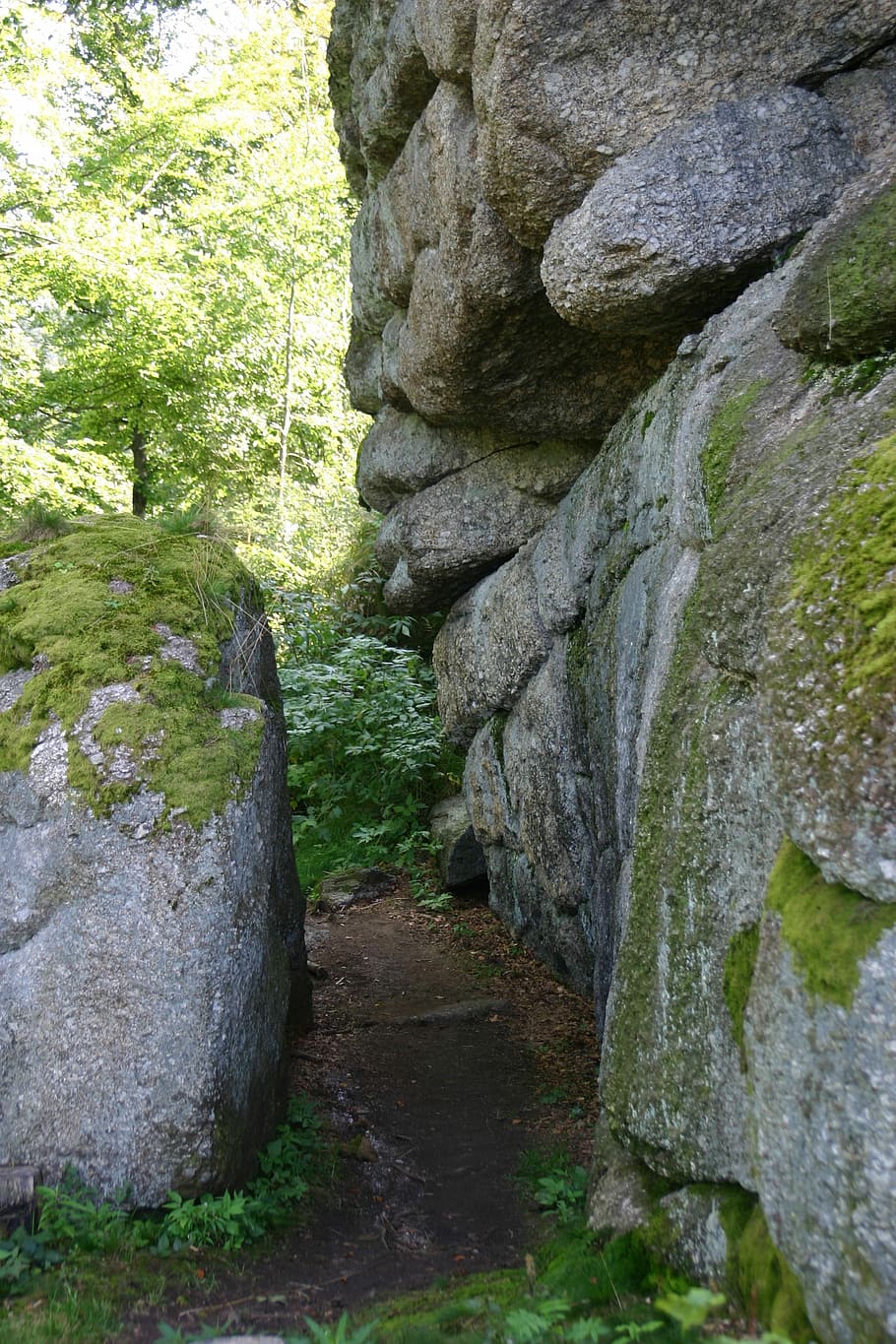 Path, Forest, Stone, Nature, Rock, rock - object, day, moss HD wallpaper