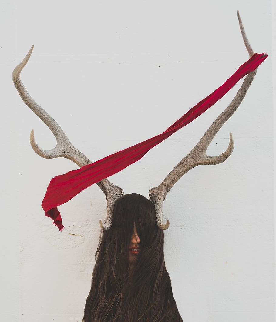 Surrealism, concepts And Ideas, animal, antler, studio shot, reindeer HD wallpaper
