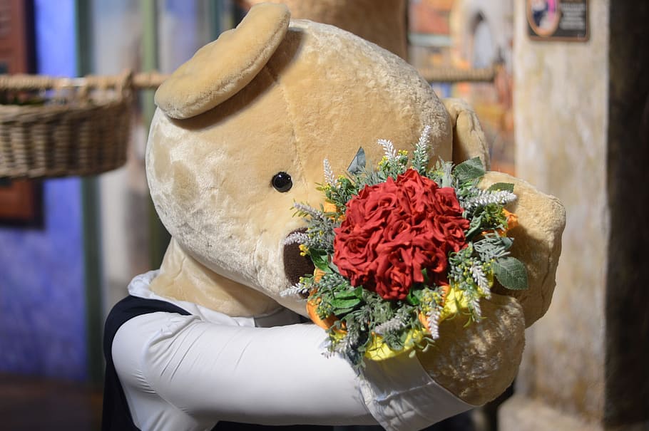 teddy bear, doll, marriage proposal, flower, flowering plant, HD wallpaper
