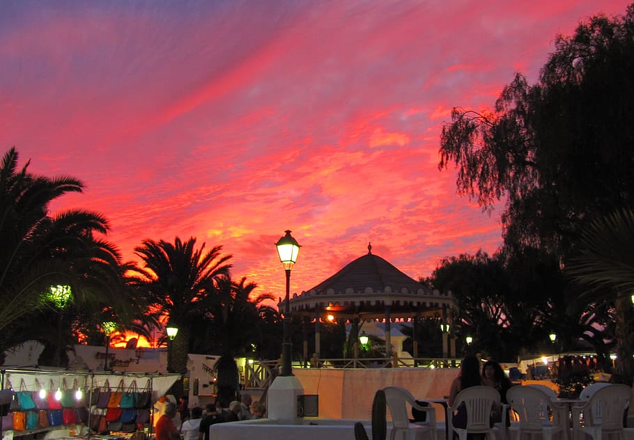 lanzarote, abendstimmung, sky, night, palm Tree, dusk, sunset HD wallpaper