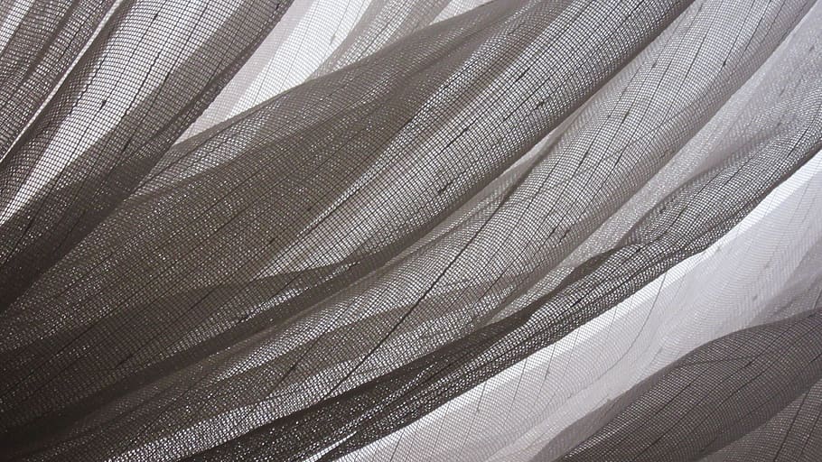 curtain, window, tissue, fabric, web, transparent, translucent HD wallpaper