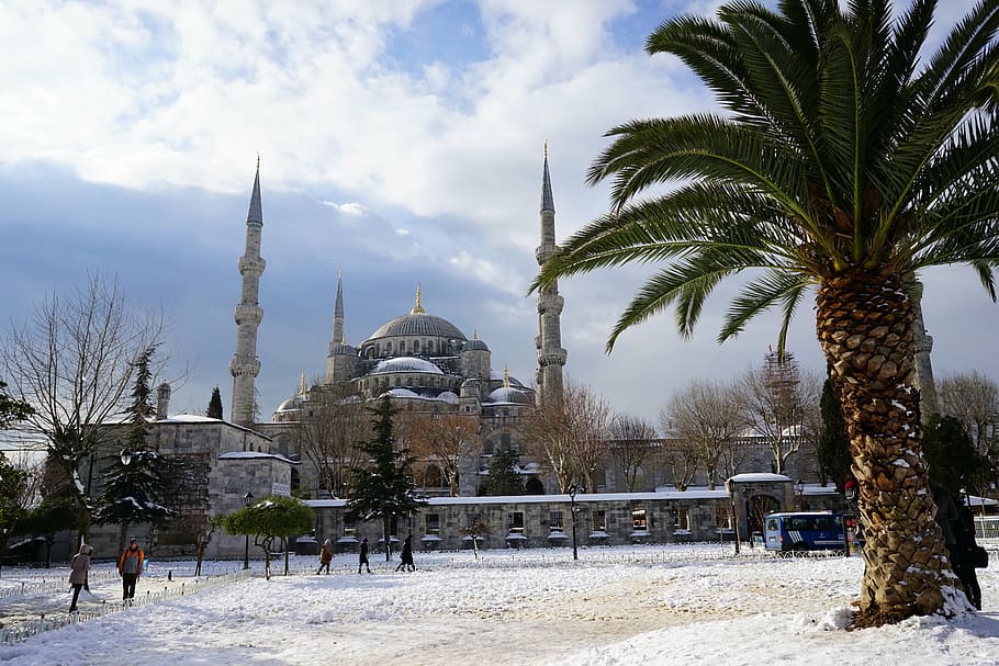 mosque, snow, turkey, architecture, tree, built structure, place of worship HD wallpaper