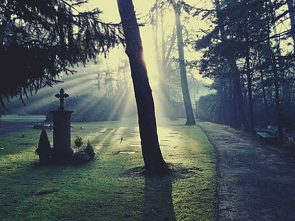 graveyard during sunshine, cemetery, light, glow, bill, tombstone HD wallpaper