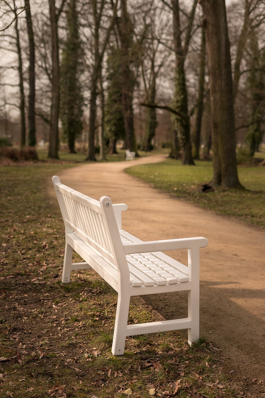 white wooden bench beside dirt path, Bank, Rest, Relax, Reflect HD wallpaper