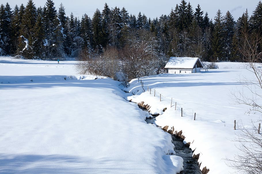 Bach, Hut, Firs, Trees, Snow, White, sky, sunny, wintry, cold temperature HD wallpaper