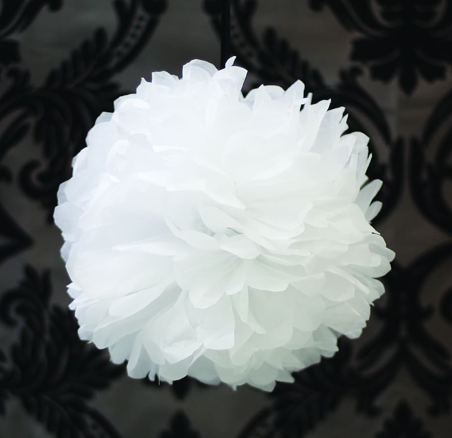 tissue paper pom, wedding decorations, celebration, design, HD wallpaper