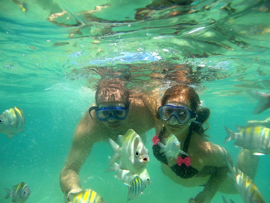 two man and woman snorkeling underwater, diving, mar, litoral HD wallpaper