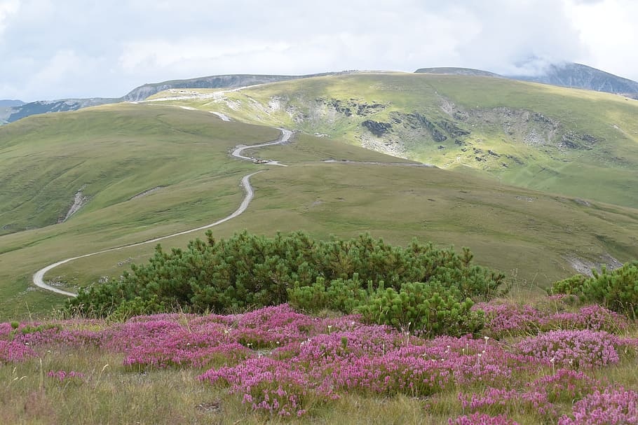 alpine road, mountain path, mountain top, mountain edge, environment, HD wallpaper