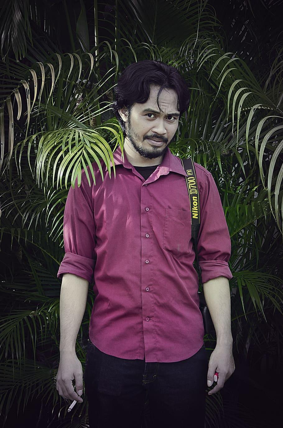 Java Man, Indonesian, natural green, palm, guy, bierde, palm tree HD wallpaper