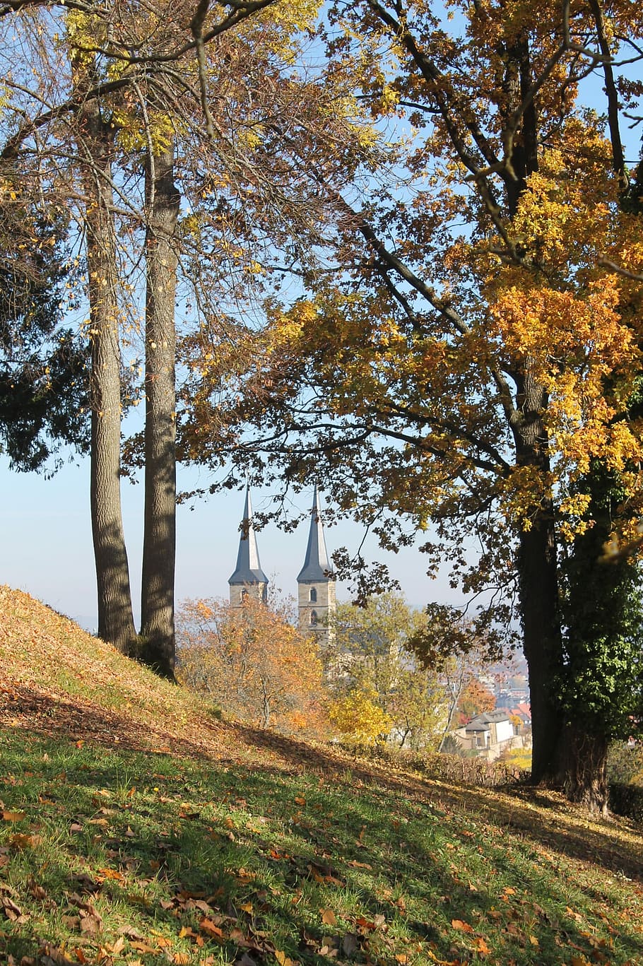 Bamberg, Landscape, Dom, autumn, tree, change, leaf, scenics HD wallpaper