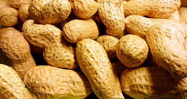 bunch of peanuts, roasted, nuclear, snack, shell, food and drink HD wallpaper