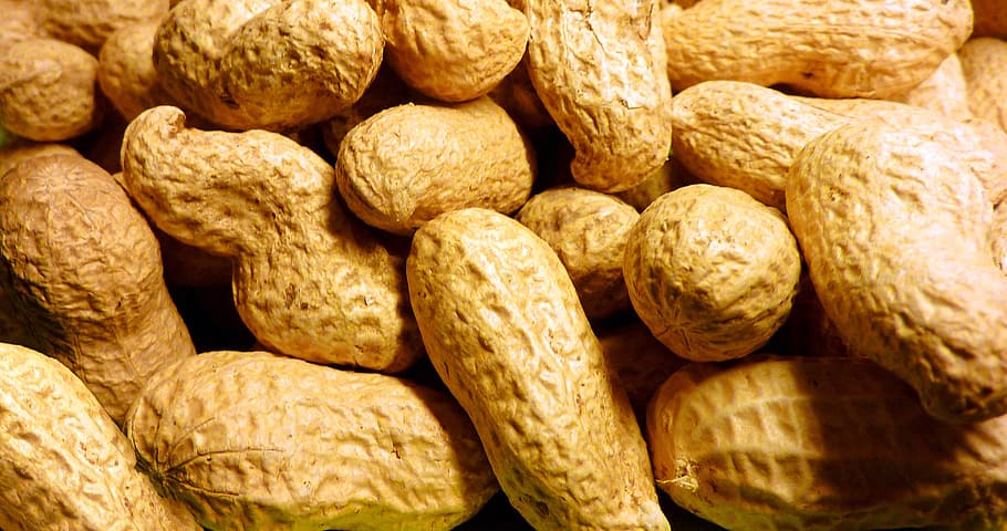 bunch of peanuts, roasted, nuclear, snack, shell, food and drink HD wallpaper
