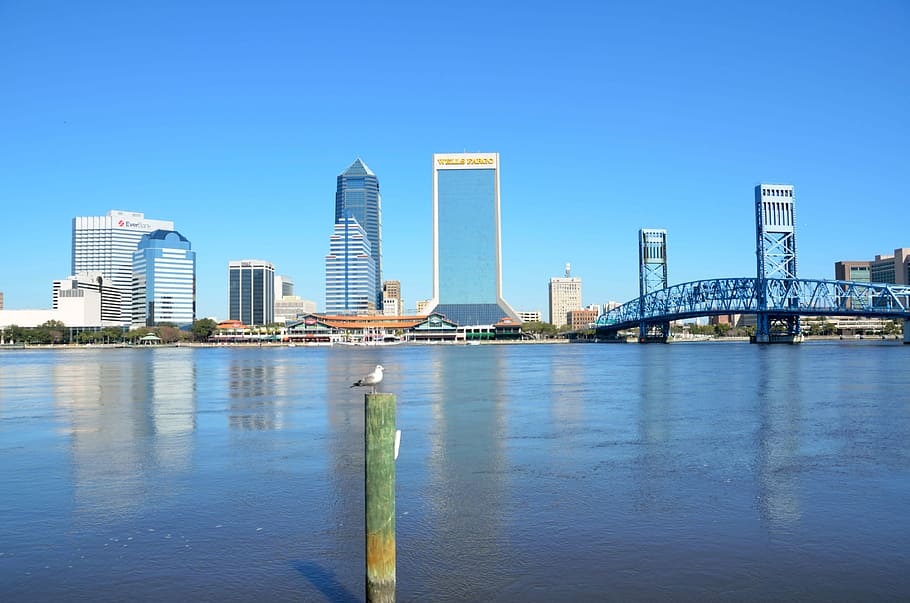 Free download  HD wallpaper: Skyline of Jacksonville, Florida, photos 