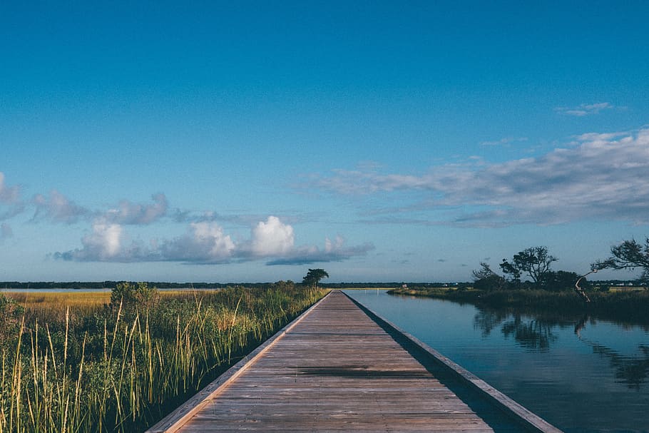 brown wooden dock bridge beside body of water and grass, path HD wallpaper