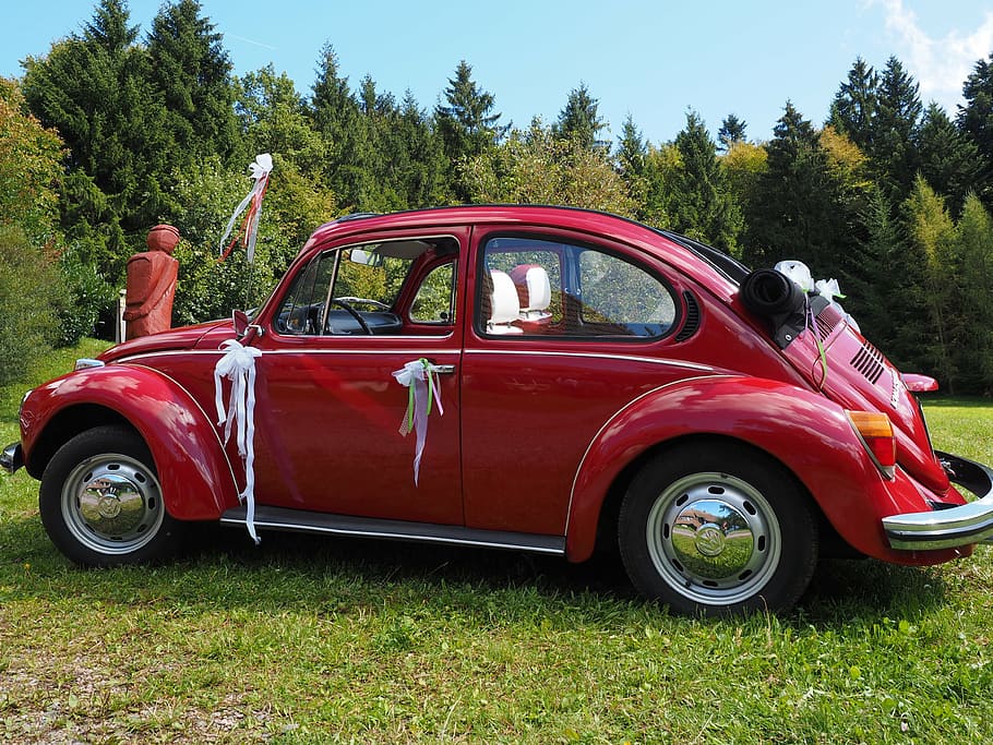 vw beetle, bridal car, auto, oldtimer, vehicle, classic, volkswagen, HD wallpaper