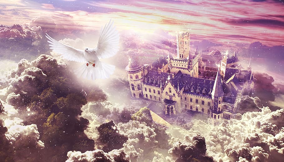 castle, dove, sky, clouds, architecture, building exterior HD wallpaper
